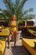 , Yellow, M
